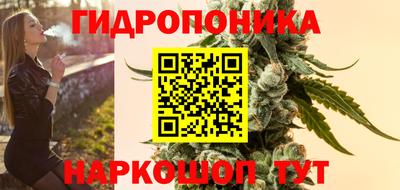 дживик Заводоуковск