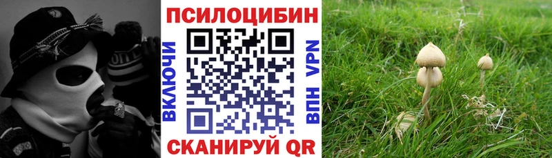 это телеграм  Краснокаменск  Галлюциногенные грибы мицелий 
